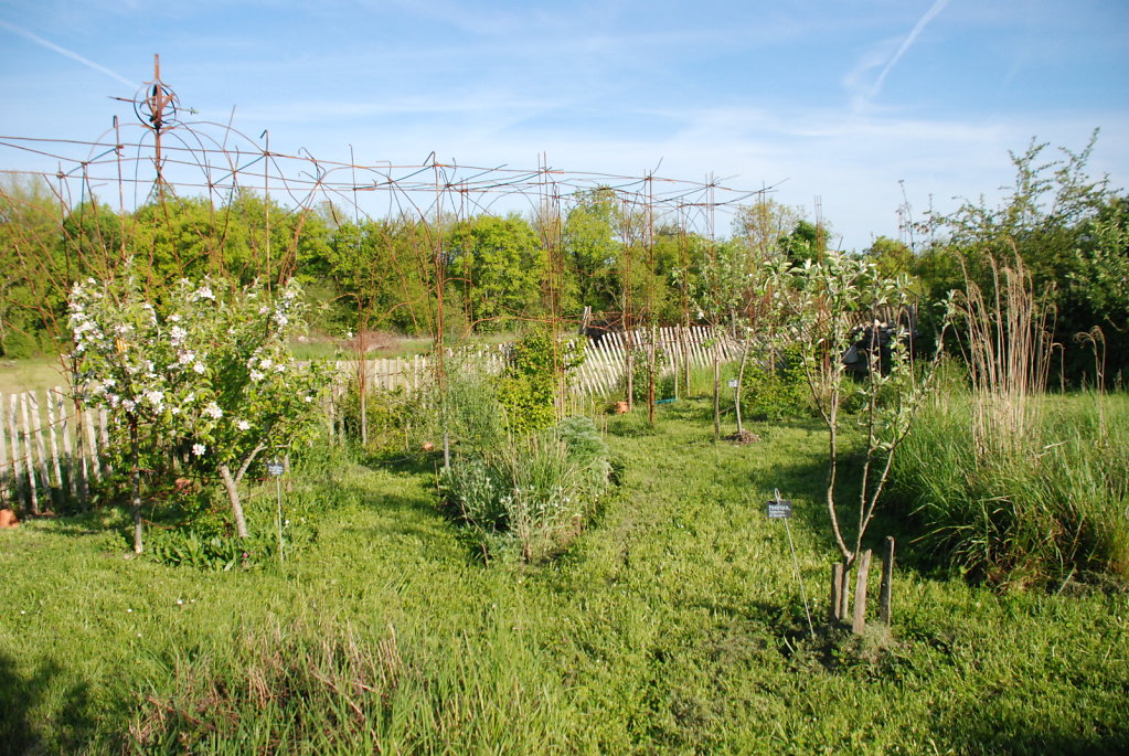 pergola dans le verger