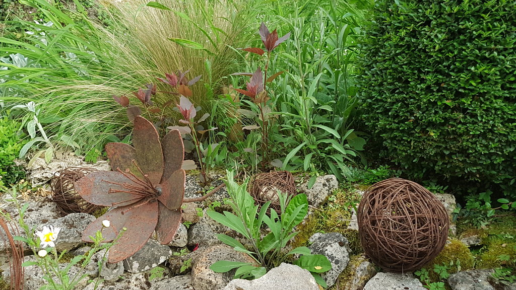 Au milieu des fleurs et pelotes de rouille, l'eupatoire rugeuse 'Chocolate'est quant à elle bien vivante...