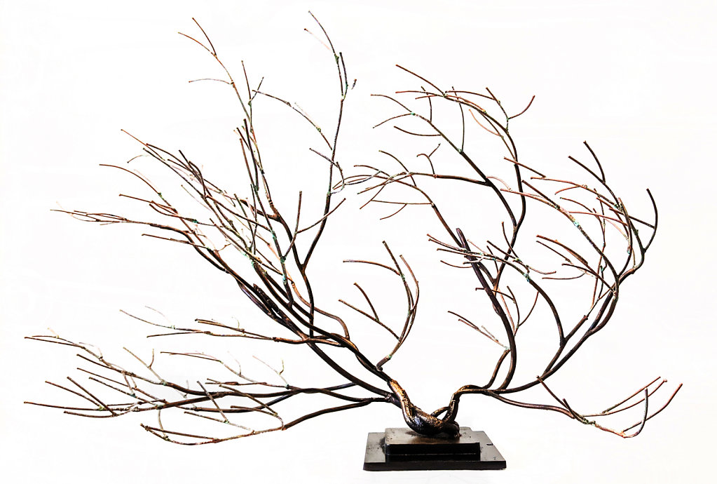 Arborescences